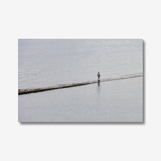 Alone